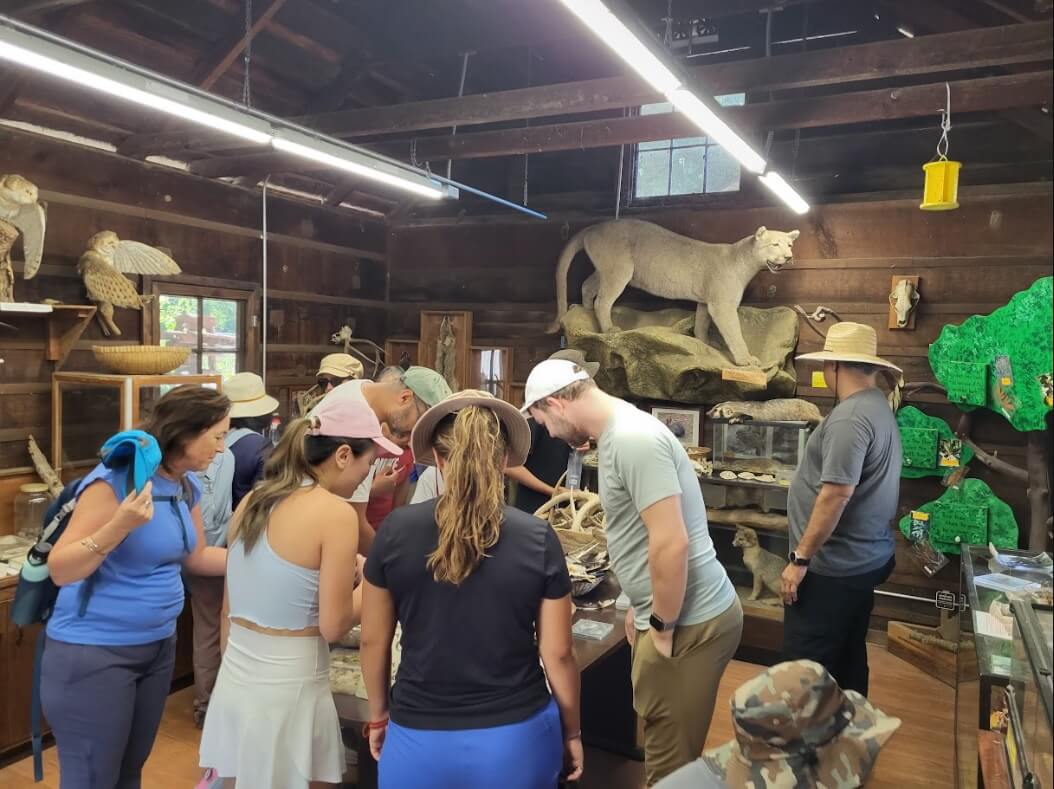 What to do during a nature walk