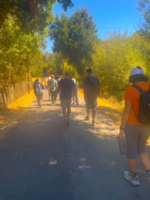 Nature walk in silicon valley