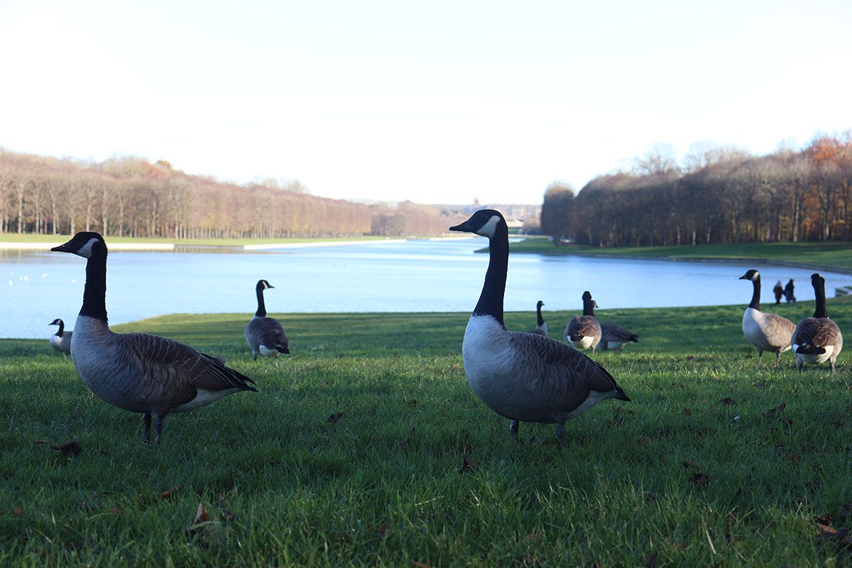 Photo by Alejandro Ramirez G